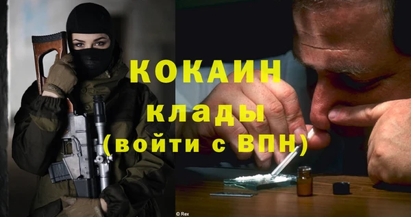 ГАЛЛЮЦИНОГЕННЫЕ ГРИБЫ Ростов