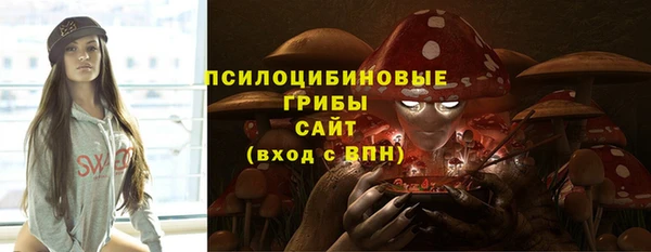 ГАЛЛЮЦИНОГЕННЫЕ ГРИБЫ Ростов