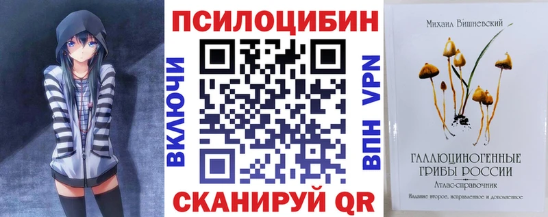 Галлюциногенные грибы Psilocybe  Купить где  Назрань 